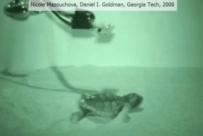 turtlemovie2